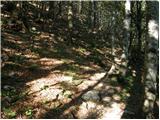 Bohinjsko sedlo - Planina Za Črno goro